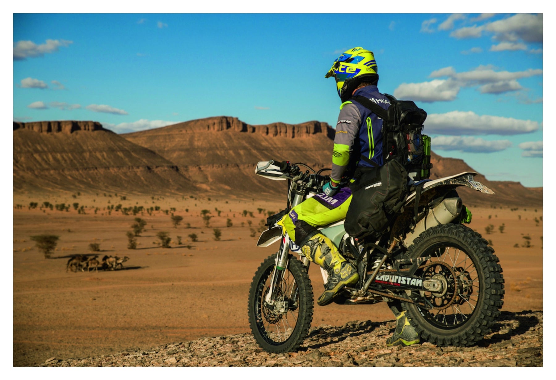 Blizzard Saddle Bags - Small